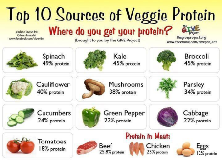 veggie-protein